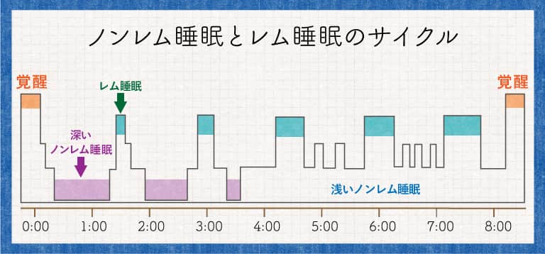 夢を見るタイミング