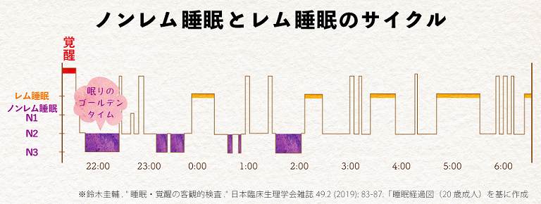 レム睡眠とは何ですか？
