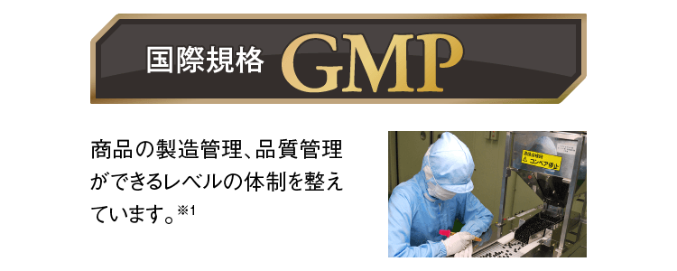 国際規格 GMP